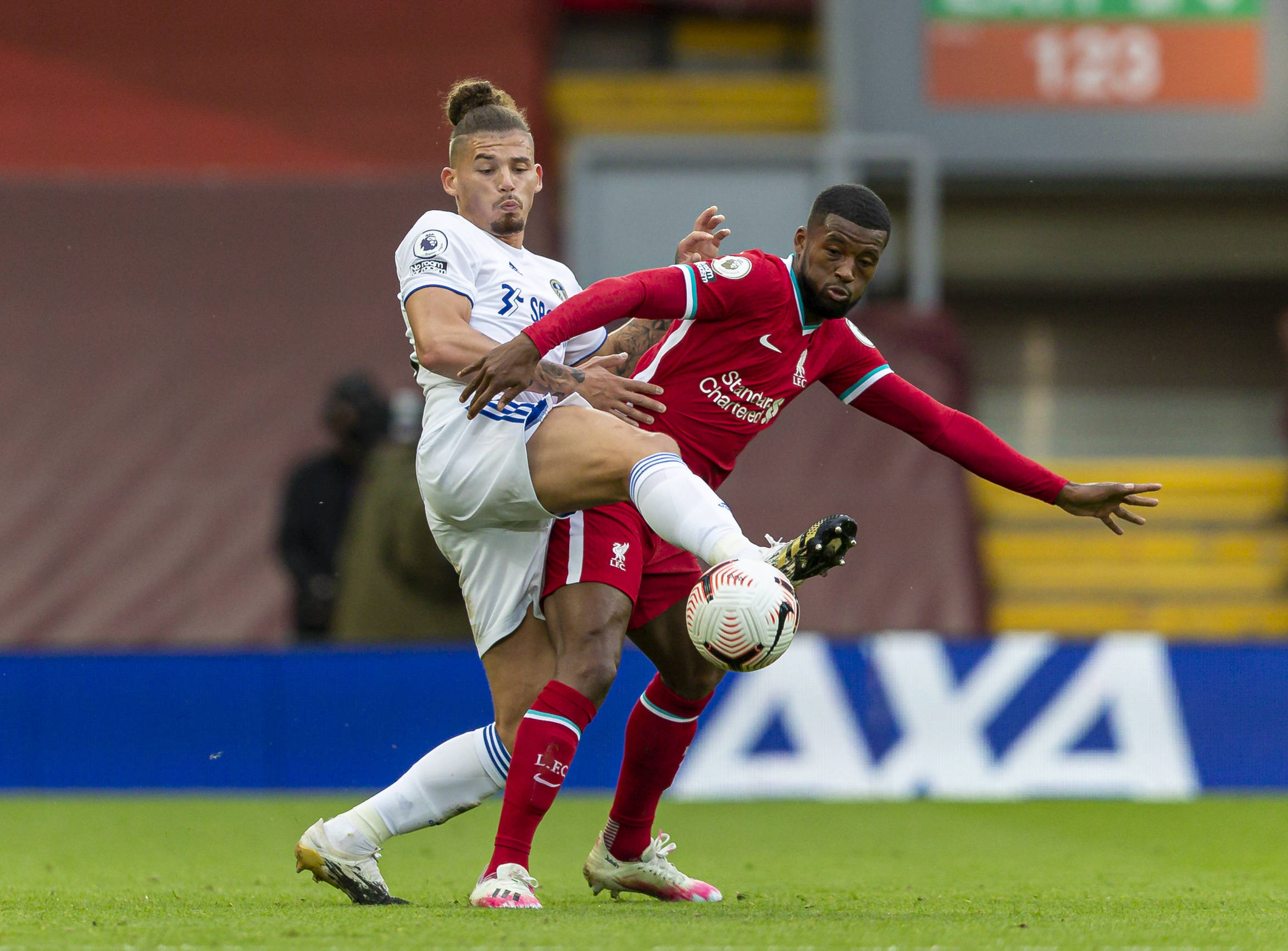 和丰富的大 和丰富的大